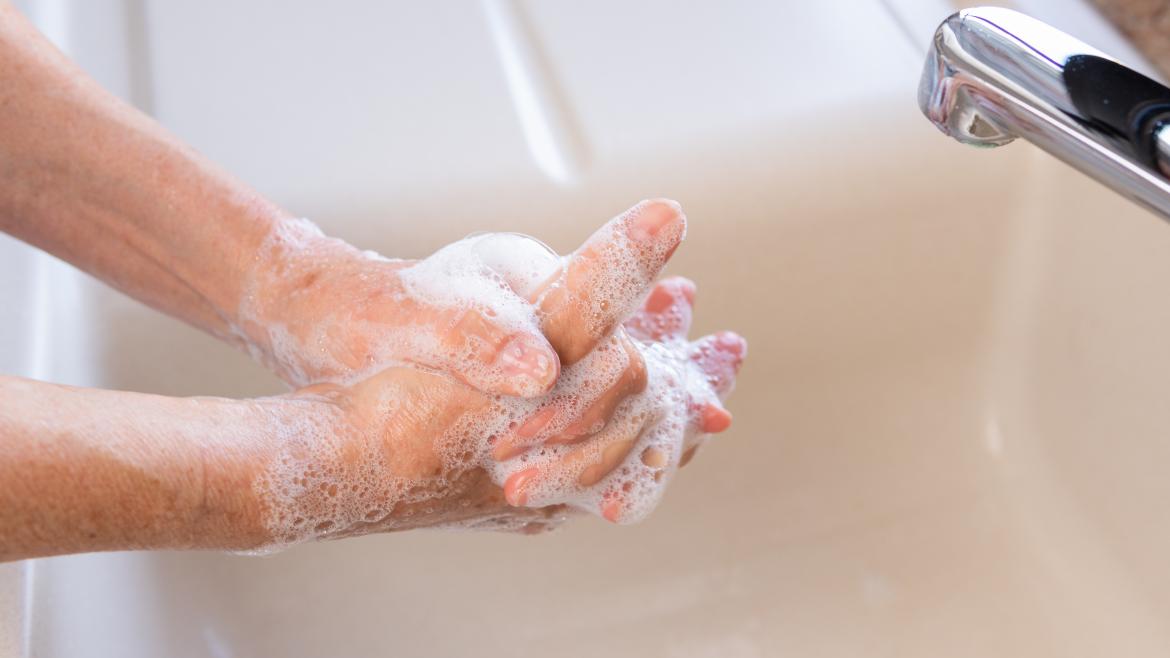 Lebensmittelhygiene