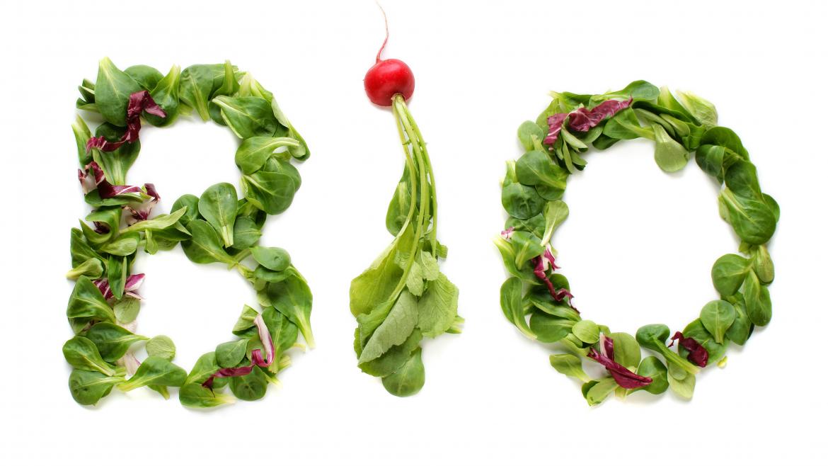 Bio-Caterer Tipps VA