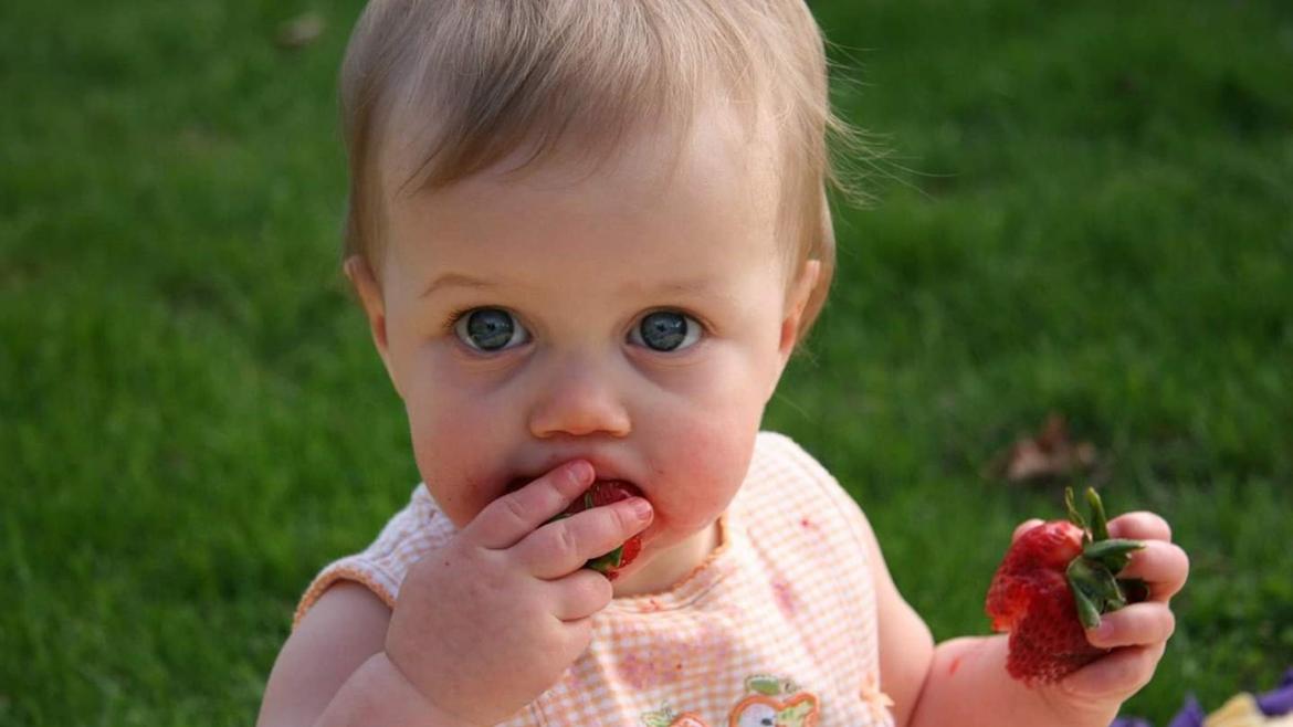 Kleindkind isst Erdbeeren auf einer Wiese. Es schaut in die Kamera und hat ein rosa Kleid an.