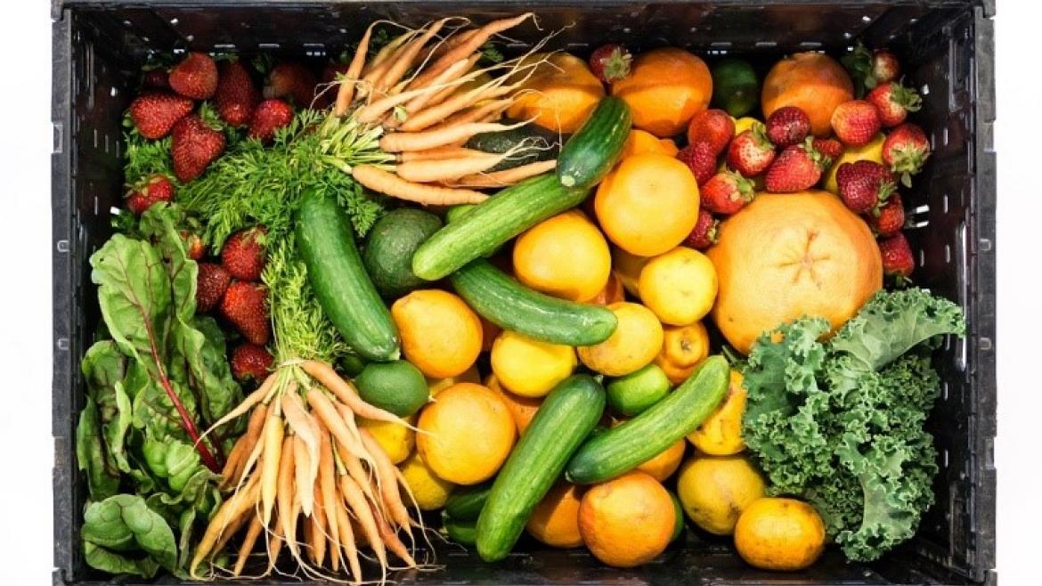 Kiste voller Obst und Gemüse