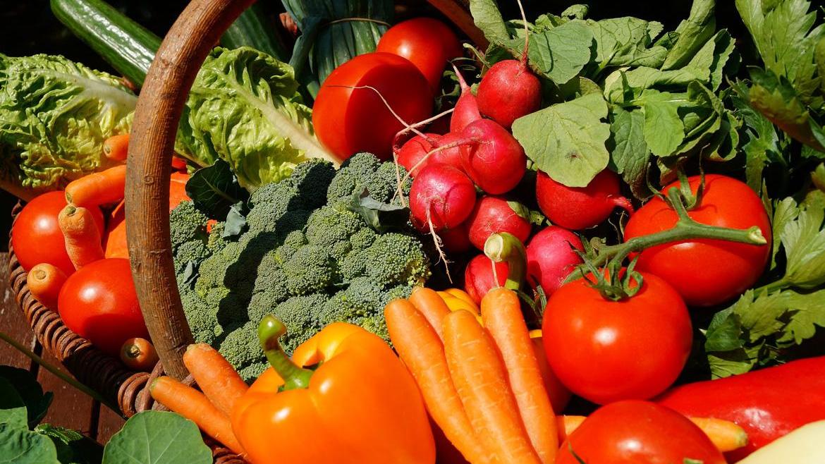 Kite Klimagesund kochen, Korb mit Gemüse, Paprika, Gurke, Tomate, Broccoli