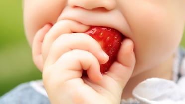 Kind beisst in eine rote Erdbeere