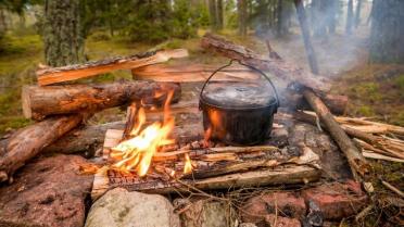 Feuer mit Topf im Wald