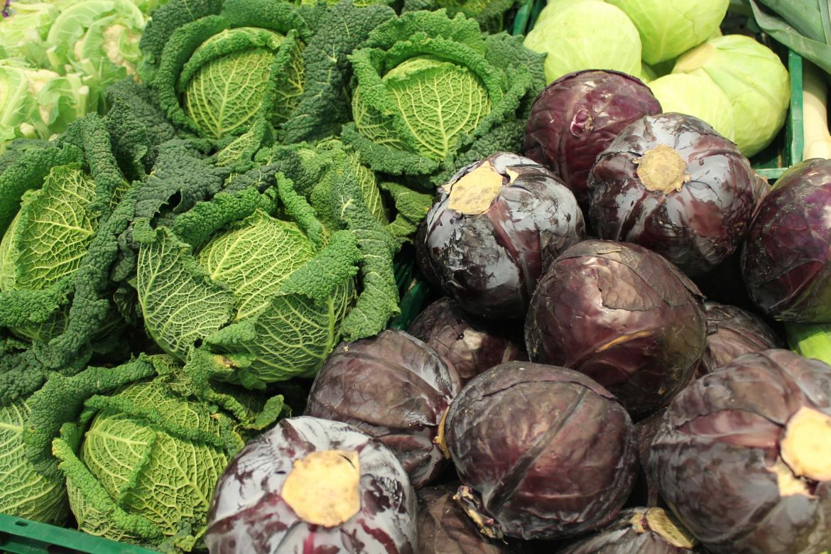 Kohl und Co.
