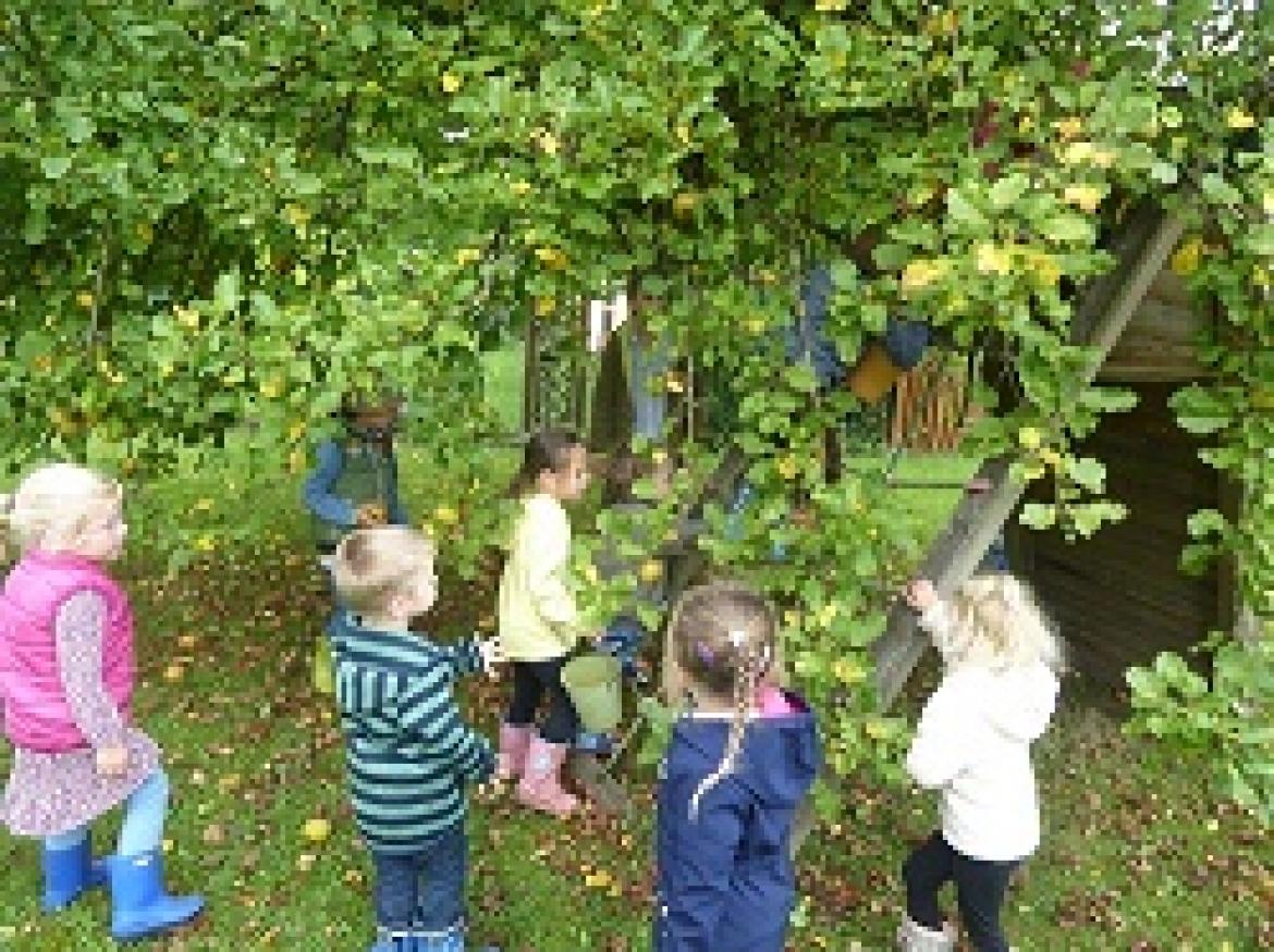 Kindergartenkinder pflücken Äpfel vom Baum