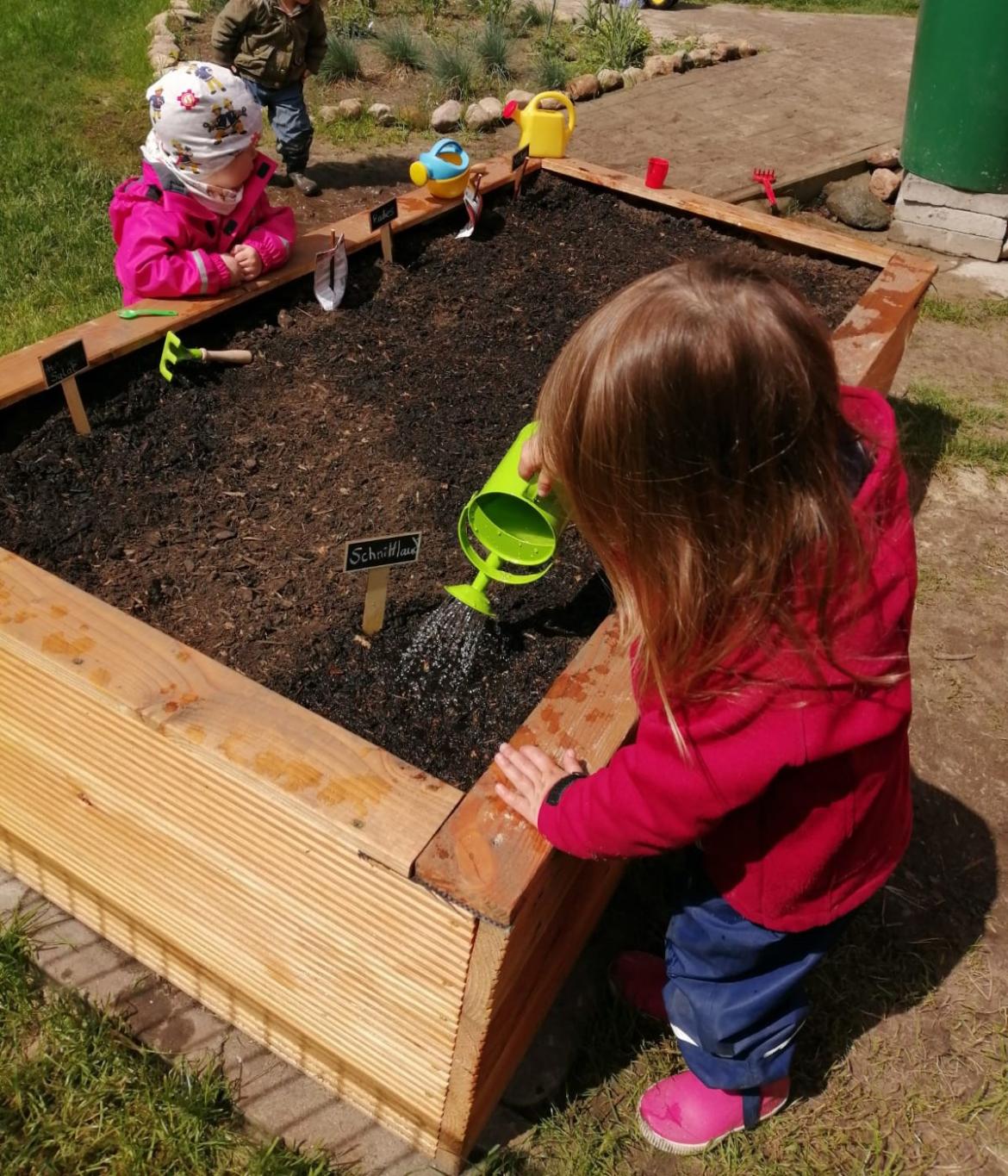 Kinder stehen vor kleinem Hochbeet und pfalnzen zum Schnittlauch an. Man sieht Schnittlauch auf einem Schild.