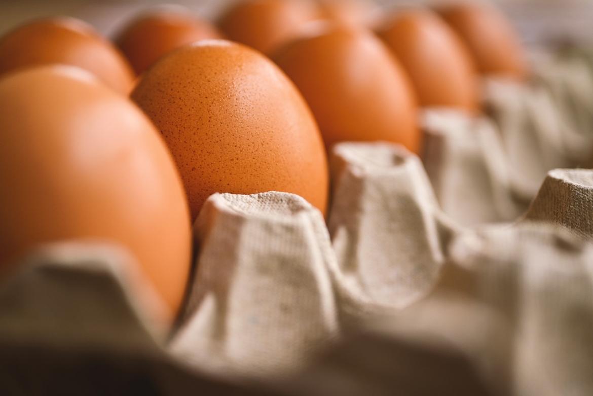 Eier von der Seite in einer Verpackung 
