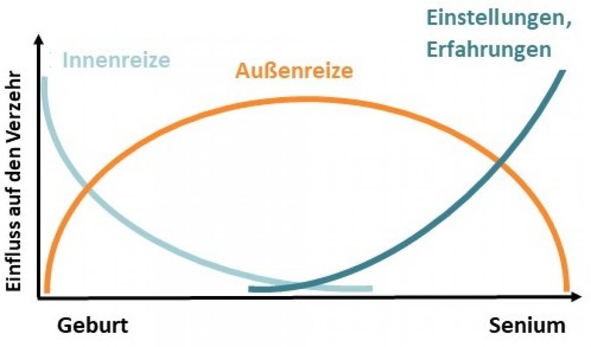 Pudel Komponenten Model