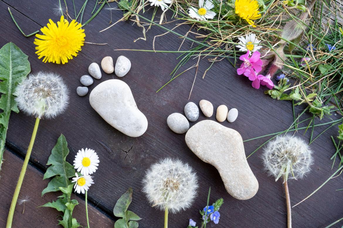 Fußabdrücke aus Steinen zwischen Blumen