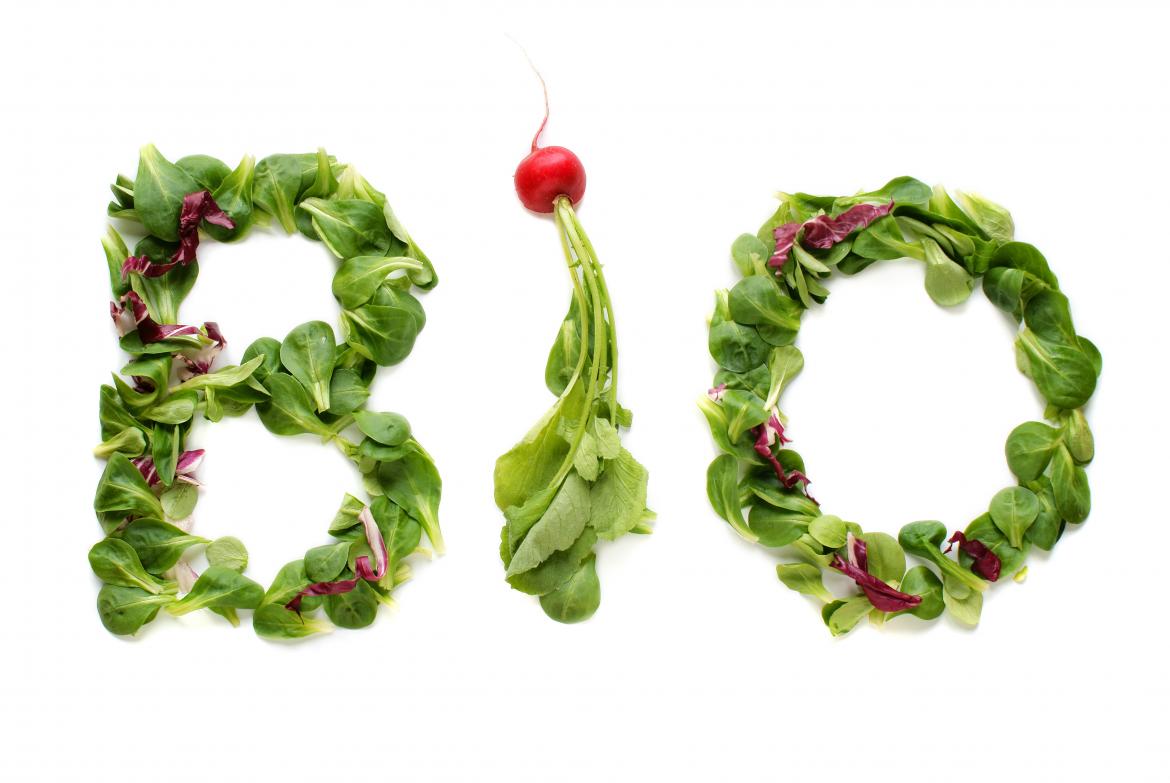 Bio-Caterer Tipps VA