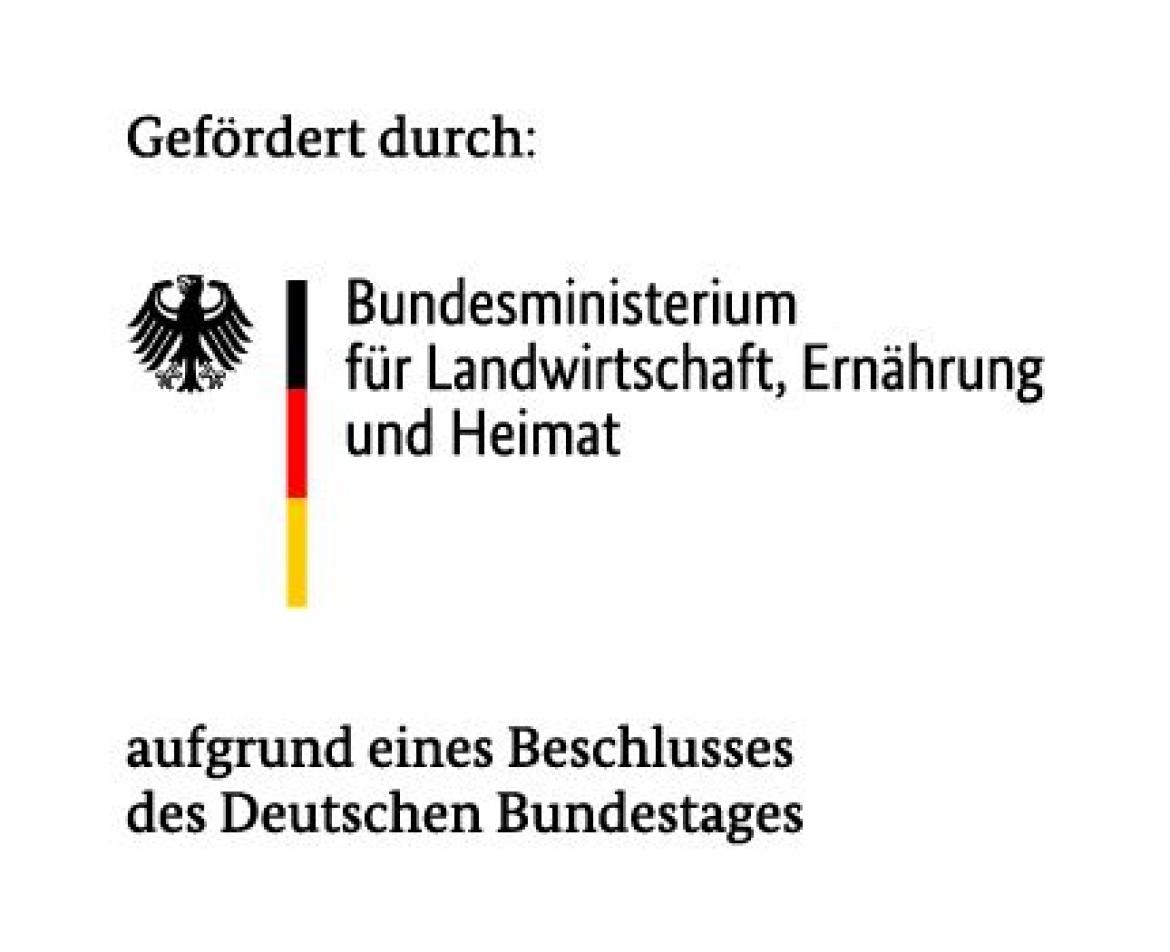 Logo BMLEH 2025