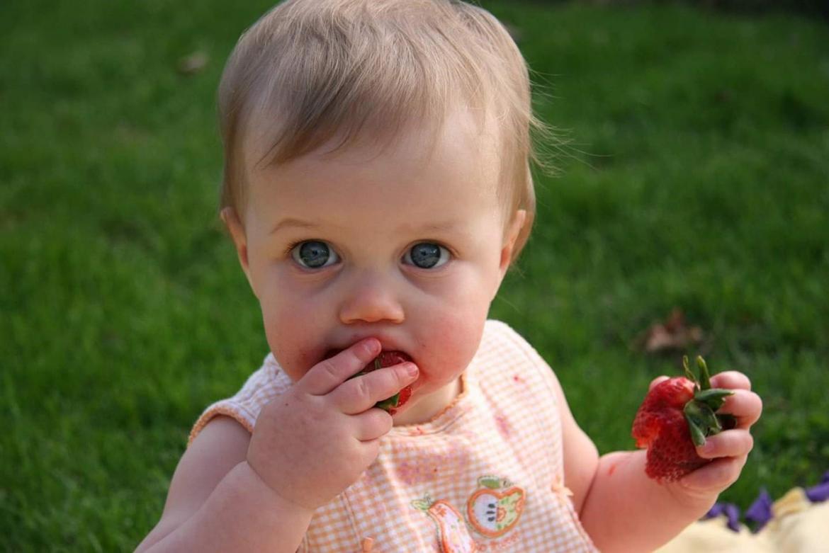 Kleindkind isst Erdbeeren auf einer Wiese. Es schaut in die Kamera und hat ein rosa Kleid an.