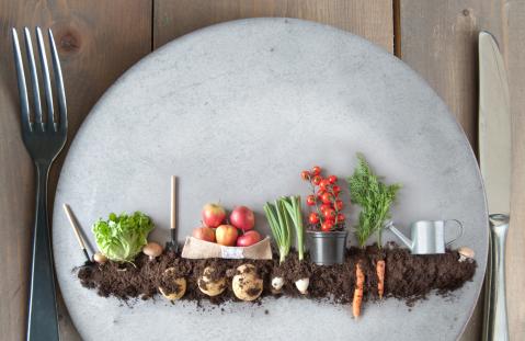 Teller auf dem ein Garten dargestellt ist. Mit Erde kleinem Salat, Äpfel, Tomaten, Möhren.