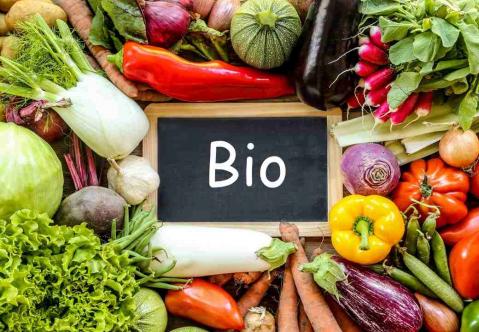 Bio Schild auf Gemüse