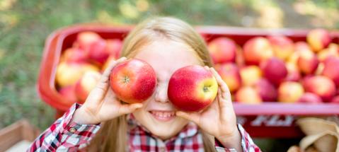 Kind hält sich zwei Äpfel vor die Augen. Im Hintergrund steht auf einer Wiese ein Korb voll Äpfel.