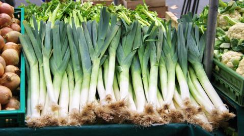 viele Porreestangen auf dem Markt